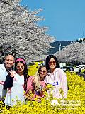 Tour a Corea Primavera