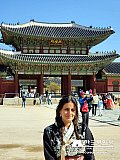Tour a Corea Primavera