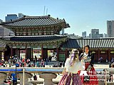 Tour a Corea Primavera