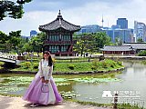 Tour a Corea Verano