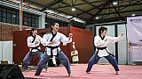 Festival Coreano 2025